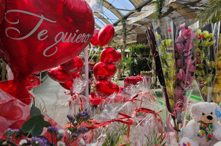 Desmontando los Mitos del Día de San Valentín: Una Mirada Crítica al Día del Amor y la Amistad