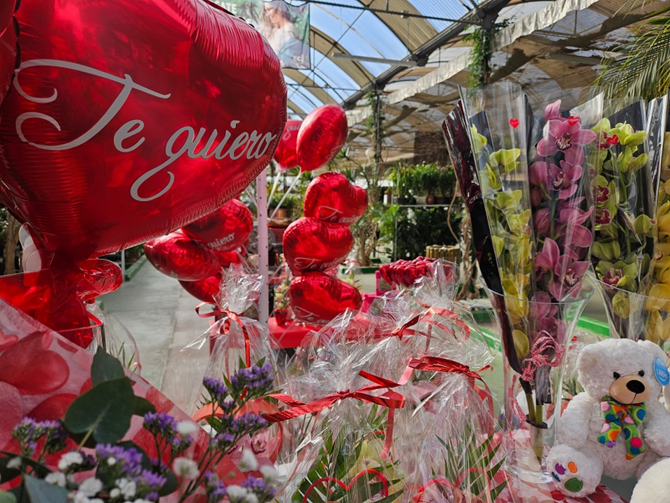 Desmontando los Mitos del Día de San Valentín: Una Mirada Crítica al Día del Amor y la Amistad